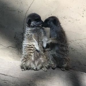 Meet your Posher, Dilynn